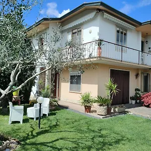 Delizioso Locazione Turistica Apartment